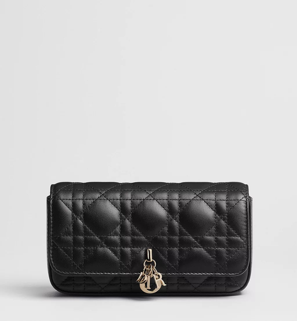 Luxury Mini-Bag Dior