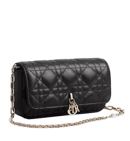 Luxury Mini-Bag Dior